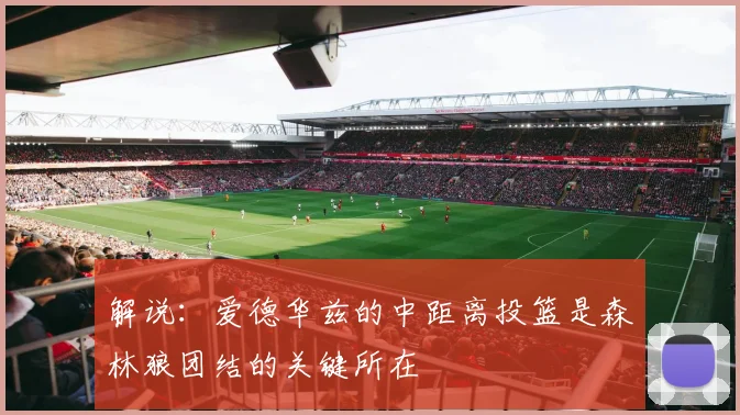 解说：爱德华兹的中距离投篮是森林狼团结的关键所在