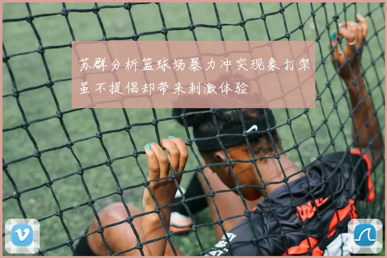 苏群分析篮球场暴力冲突现象打架虽不提倡却带来刺激体验